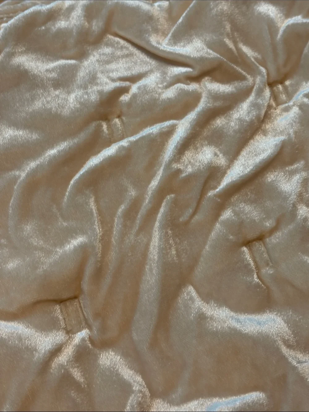 West Elm Shimmery Cream Decorative Pillow Cover (set of 2)